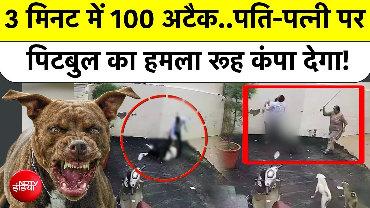 3 मिनट में 100 अटैक..पति-पत्नी पर पिटबुल का हमला रूह कंपा देगा!