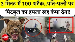 3 मिनट में 100 अटैक..पति-पत्नी पर पिटबुल का हमला रूह कंपा देगा!