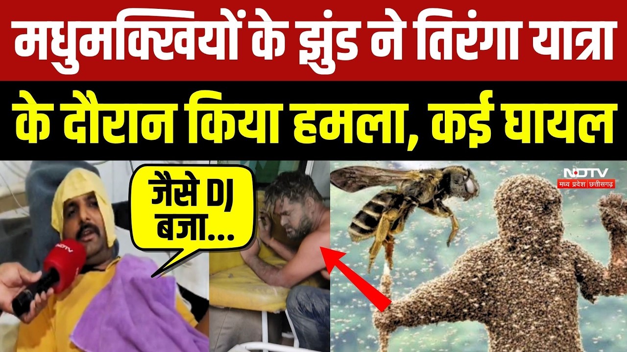 Dewas में DJ की तेज आवाज से भड़की मधुमक्खियों का तिरंगा यात्रा पर हमला!