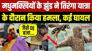 Dewas में DJ की तेज आवाज से भड़की मधुमक्खियों का तिरंगा यात्रा पर हमला!