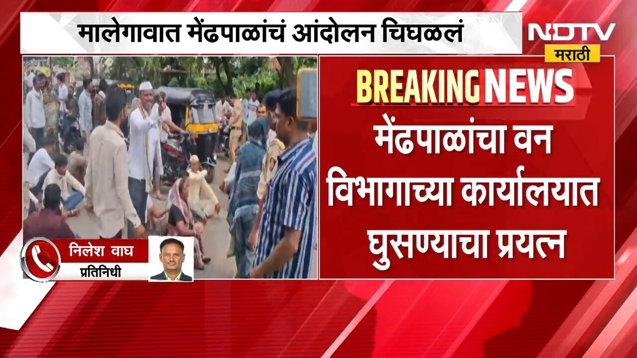 Malegaon मधील मेंढपाळांचं आंदोलन चिघळलं, आंदोलकांकडून वन विभागाच्या कार्यालयात घुसण्याचा प्रयत्न