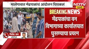 Malegaon मधील मेंढपाळांचं आंदोलन चिघळलं, आंदोलकांकडून वन विभागाच्या कार्यालयात घुसण्याचा प्रयत्न