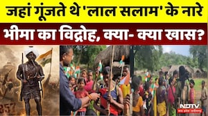 Tribal Freedom Struggle: जहां गूंजते थे 'लाल सलाम' के नारे, भीमा का विद्रोह, क्या- क्या खास?। tTop