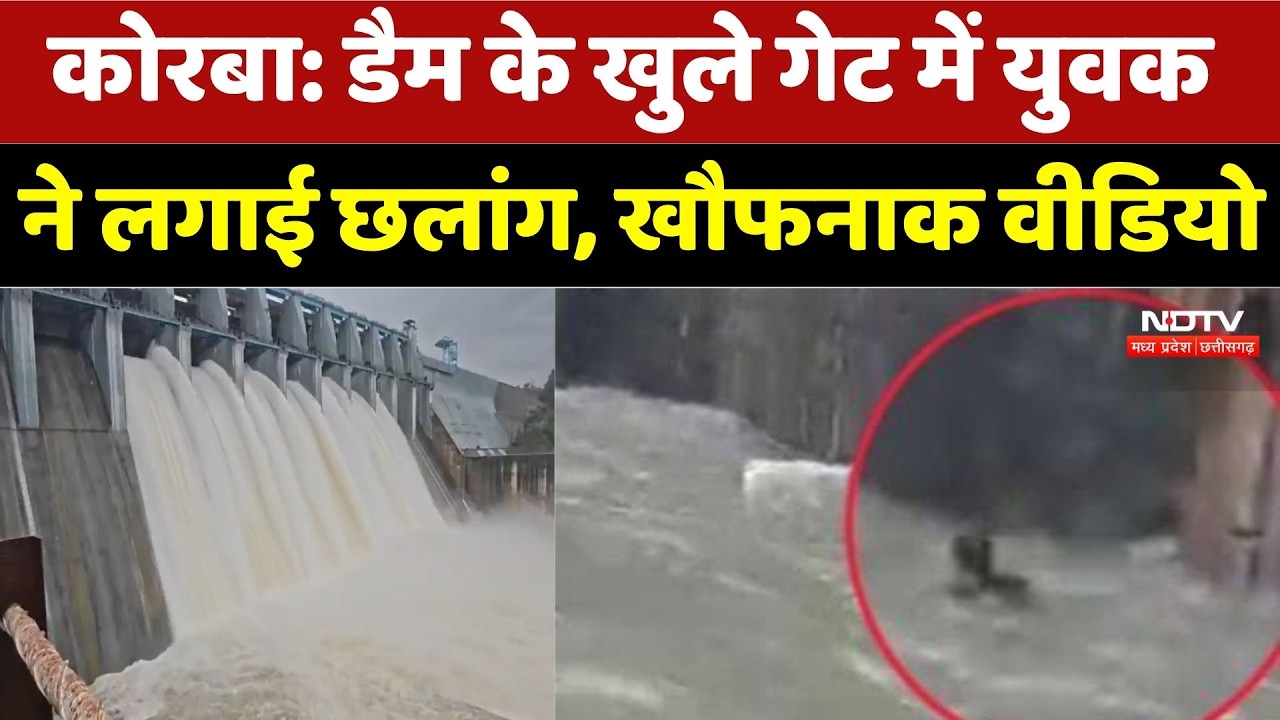 Korba Dam Viral Video: डैम के खुले गेट में युवक ने लगाई छलांग, खौफनाक वीडियो। Breaking News । NDTV