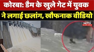 Korba Dam Viral Video: डैम के खुले गेट में युवक ने लगाई छलांग, खौफनाक वीडियो। Breaking News । NDTV