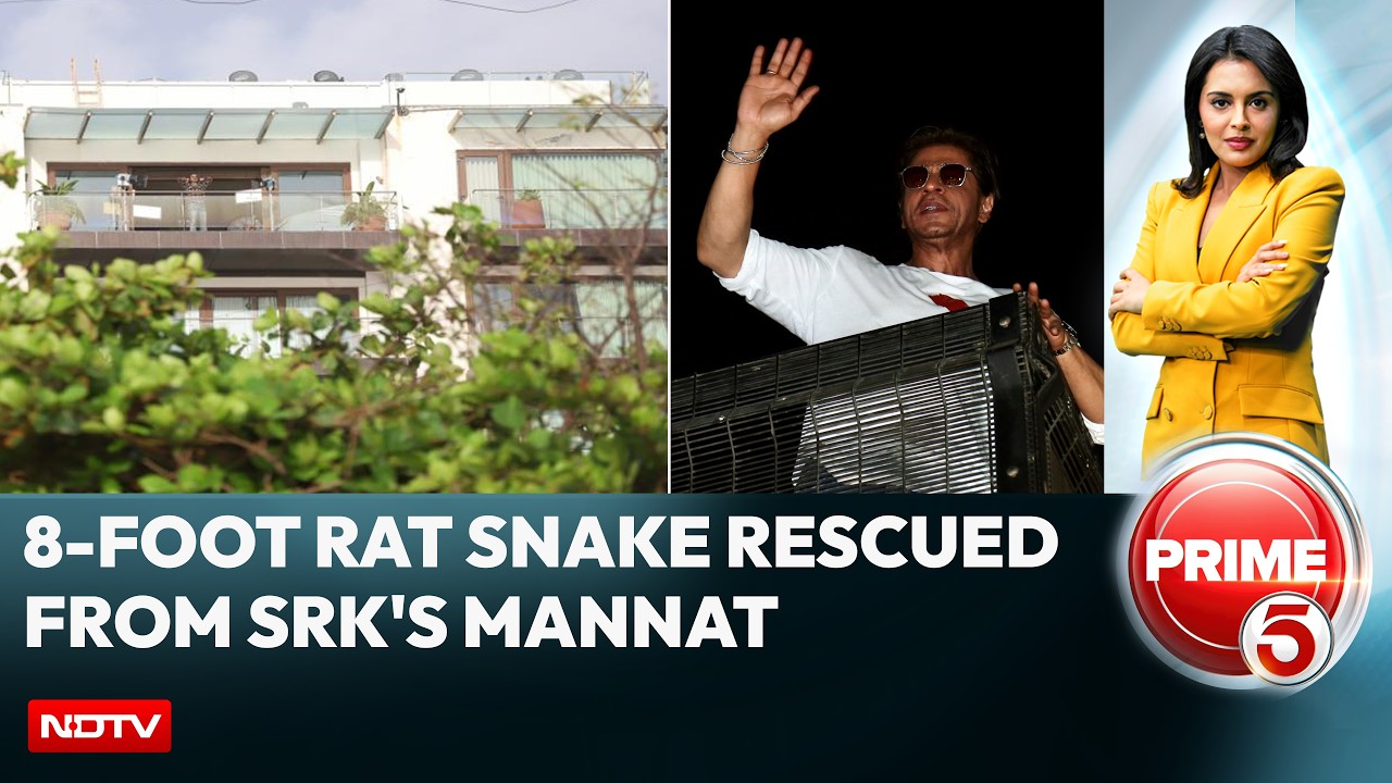 Snake Scare At Shah Rukh Khan's Mannat: 8-Foot Rat Snake Rescued, One Snake Missing