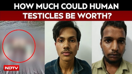 Bhopal Murder: Rs 1.2 Crore Testicle Myth From Instagram Reel Led To Teen's Killing