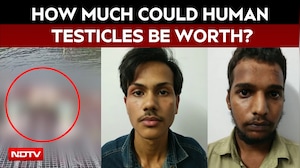 Bhopal Murder: Rs 1.2 Crore Testicle Myth From Instagram Reel Led To Teen's Killing