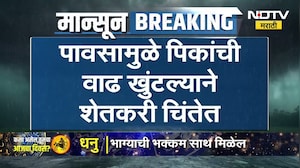 Rain News | बापरे! काय हे आकडे, वर्धा जिल्ह्यात ऑगस्ट महिन्यात केवळ 5.8 टक्के पाऊस, शेतकरी चिंतेत