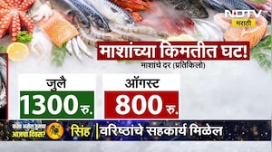 Latest Fish Prices | मत्स्प्रेमींसाठी आनंदाची बातमी, मासेमारीला पुन्हा सुरुवात, माशांच्या किमती