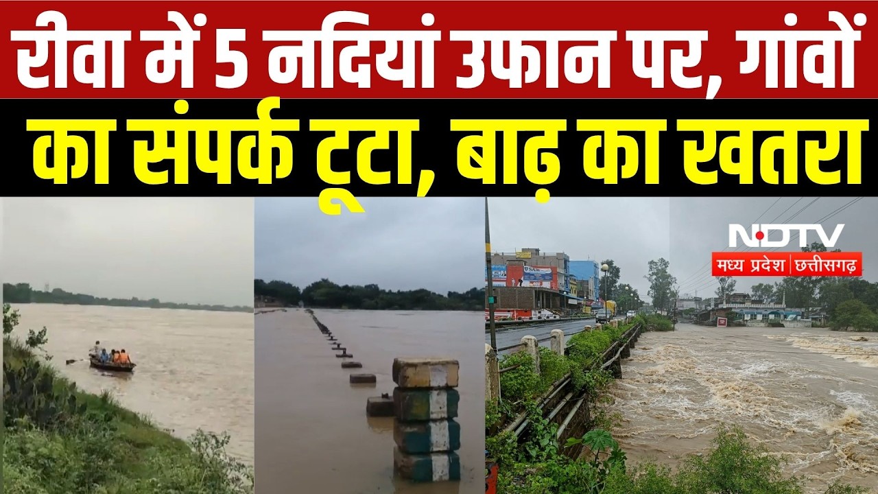 Rewa Flood Alert: 5 नदियां उफान पर, निचले इलाकों में भरा पानी | MP Weather News | Heavy Rain | IMD