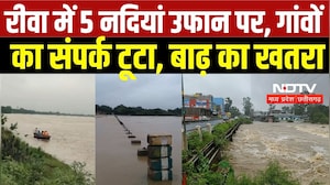 Rewa Flood Alert: 5 नदियां उफान पर, निचले इलाकों में भरा पानी | MP Weather News | Heavy Rain | IMD