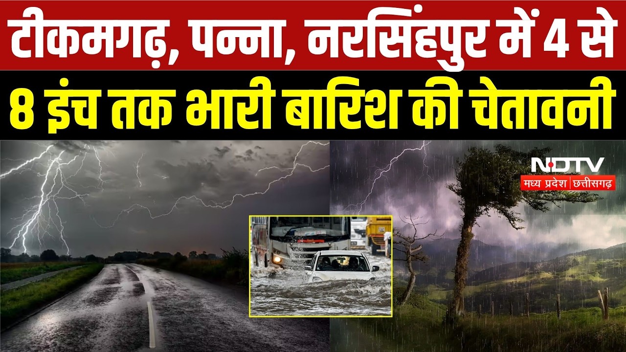 MP Weather Alert: 36 जिलों में बारिश का अलर्ट, 4 से 8 इंच तक बारिश की चेतावनी | MP Monsoon | IMD