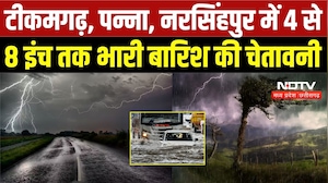 MP Weather Alert: 36 जिलों में बारिश का अलर्ट, 4 से 8 इंच तक बारिश की चेतावनी | MP Monsoon | IMD