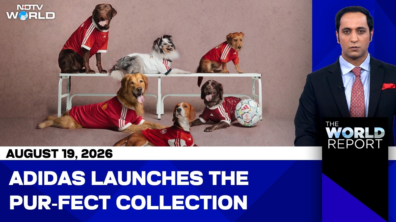 Adidas Releases New Pet Kits Featuring Seven Biggest Football Clubs