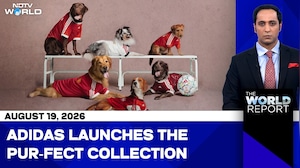 Adidas Releases New Pet Kits Featuring Seven Biggest Football Clubs