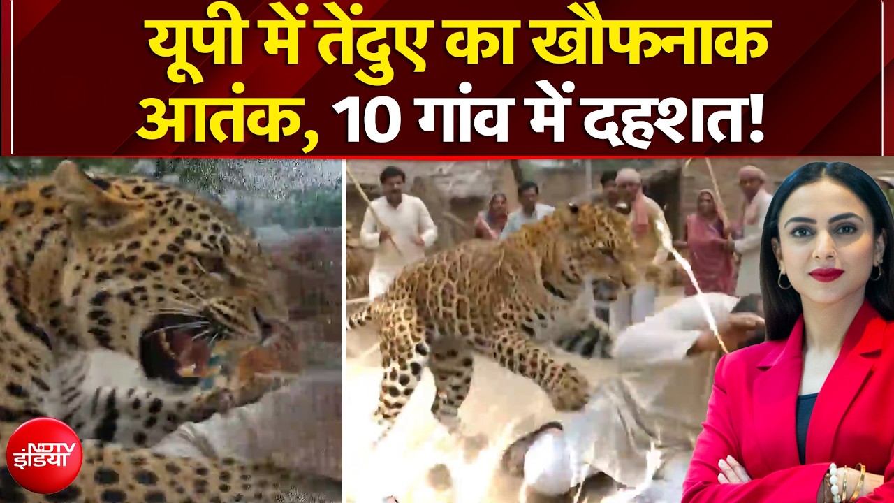 यूपी में तेंदुए का खौफनाक आतंक, 10 गांव में दहशत!