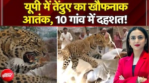 यूपी में तेंदुए का खौफनाक आतंक, 10 गांव में दहशत!