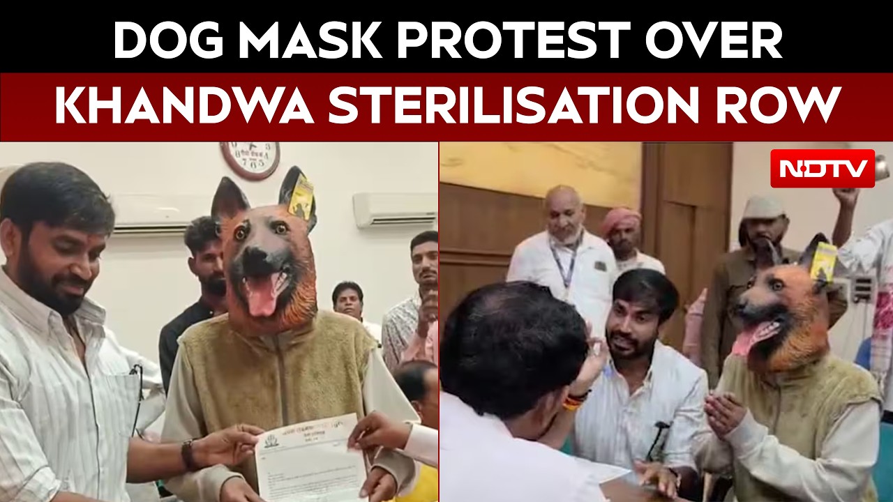 Viral: Dog Mask On, Man Claims Madhya Pradesh Sterilisation Drive All Bark, No Bite