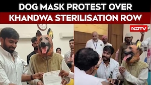 Viral: Dog Mask On, Man Claims Madhya Pradesh Sterilisation Drive All Bark, No Bite