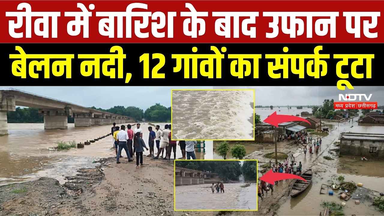 Rewa Flood: बारिश के बाद उफान पर बेलन नदी, 12 गांवों का संपर्क टूटा | I MD | Rain Alert | Monsoon