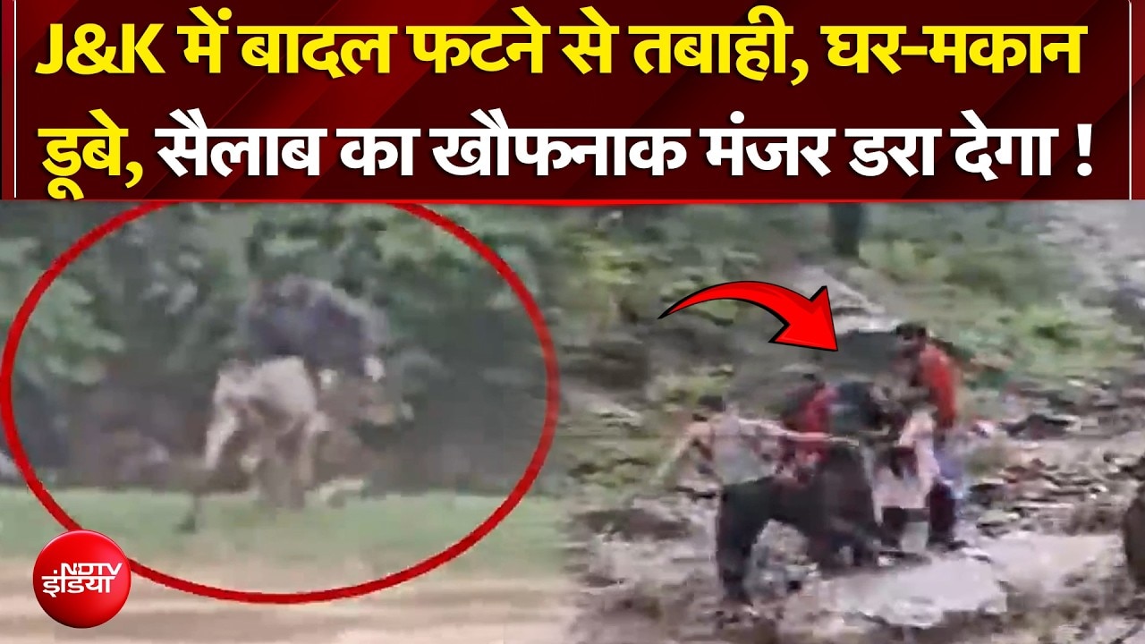 सैलाब का खौफनाक मंजर, कहां-कहां बाढ़-बारिश का अलर्ट?