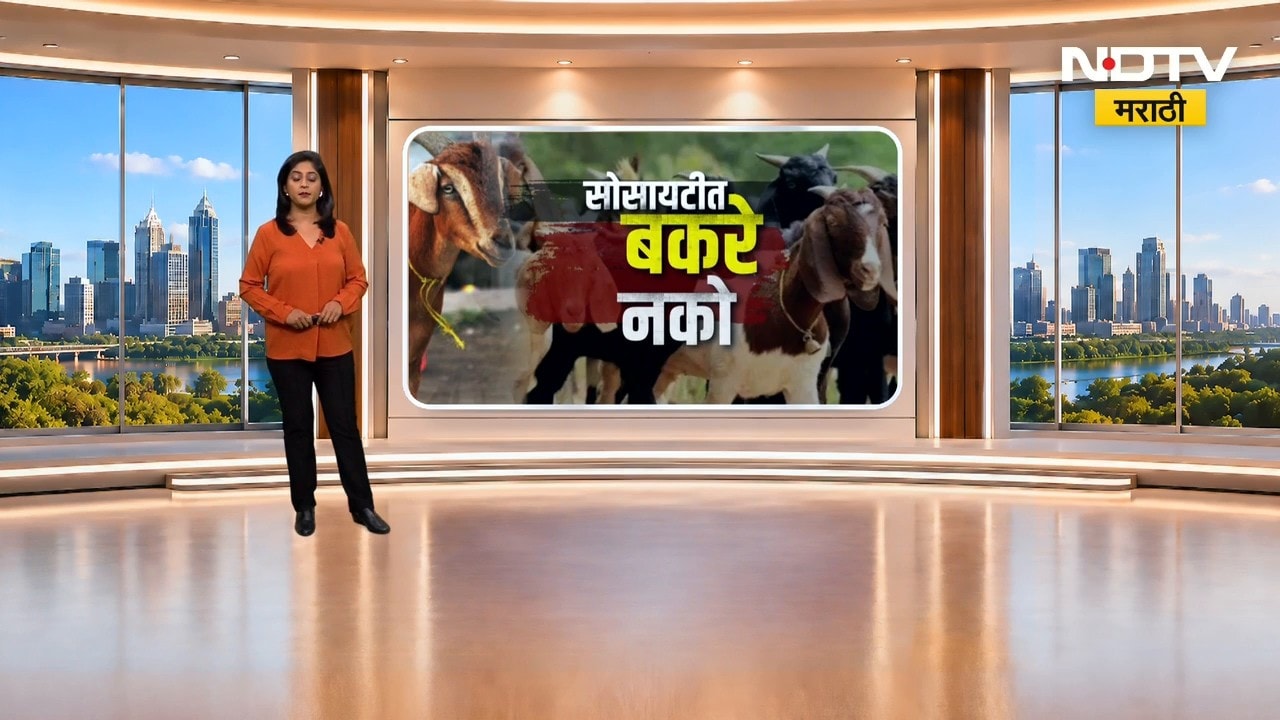Maharashtra Politics | सोसायटीत बकरे नको, मीरा भाईंदरमध्ये ईद पूर्वी मोठा निर्णय । NDTV Marathi News