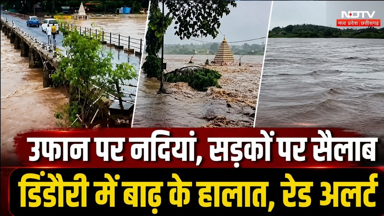 Dindori में 6 इंच Rain से हालात बिगड़े, स्कूलों में अवकाश घोषित, कई गांवों का संपर्क टूटा |IMD Alert