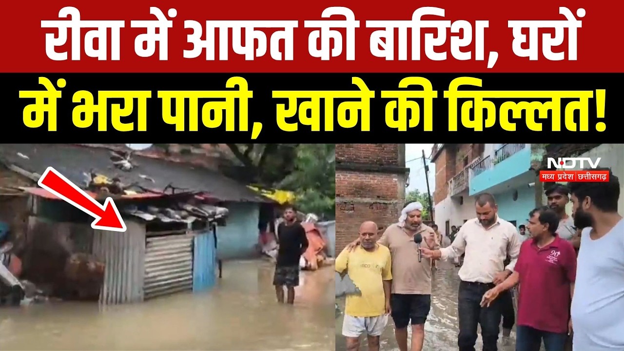 Rewa Flood News: गलियों से घरों तक जलभराव, खाने का संकट, मुश्किल में लोग! Heavy Rain | Weather