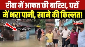 Rewa Flood News: गलियों से घरों तक जलभराव, खाने का संकट, मुश्किल में लोग! Heavy Rain | Weather