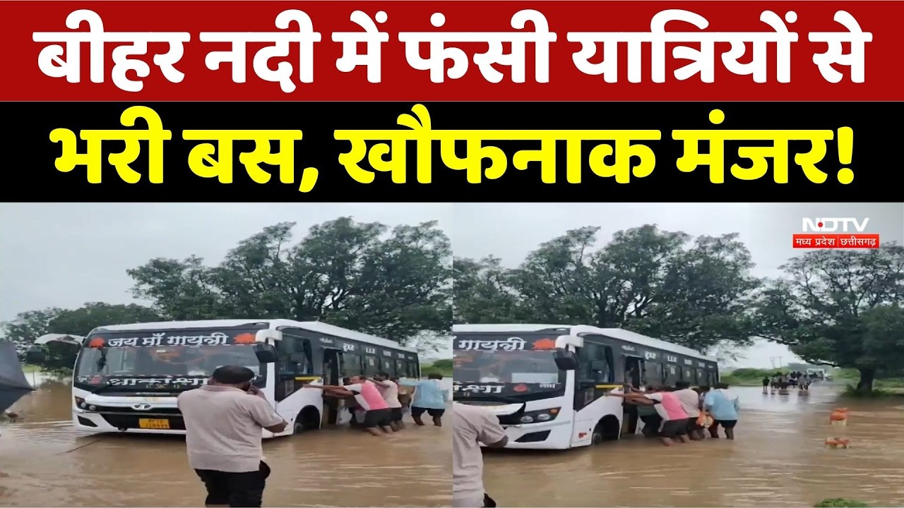 MP Weather: मैहर में उफनती नदी के बीच पुल पर फंसी यात्री बस, बड़ा हादसा टला। Breaking । Maihar Rain