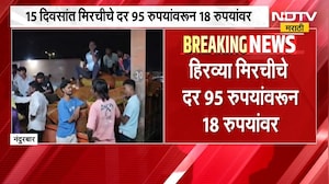 Green chili prices have crashed । 95 रुपयांवरून थेट 18 रुपये, हिरव्या मिरचीचे दर कोसळले । NDTV