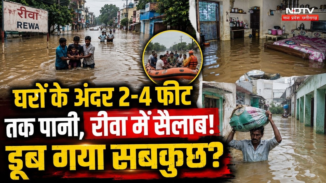 Rewa Flood: घरों के अंदर 2-4 फीट तक पानी, रीवा में सैलाब! डूब गया सबकुछ?।MP Rain Alert। Waterlogging