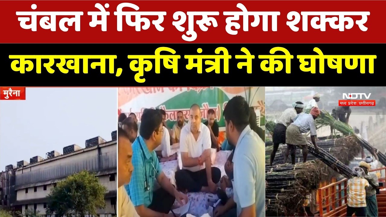 Morena Sugar Mill: चंबल में फिर शुरू होगा शक्कर कारखाना, कृषि मंत्री ने की घोषणा।Kailaras Sugar Mill