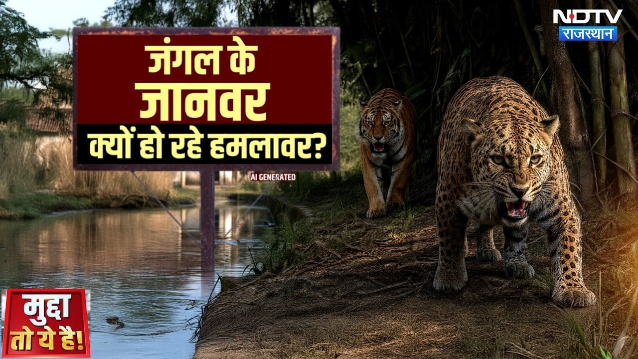 Sawai Madhopur Leopard Attack: जंगल छोड़ शहर क्यों आ रहे तेंदुए? | Wild Life | Mudda To Ye hai