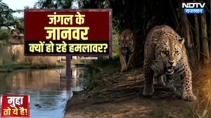 Sawai Madhopur Leopard Attack: जंगल छोड़ शहर क्यों आ रहे तेंदुए? | Wild Life | Mudda To Ye hai