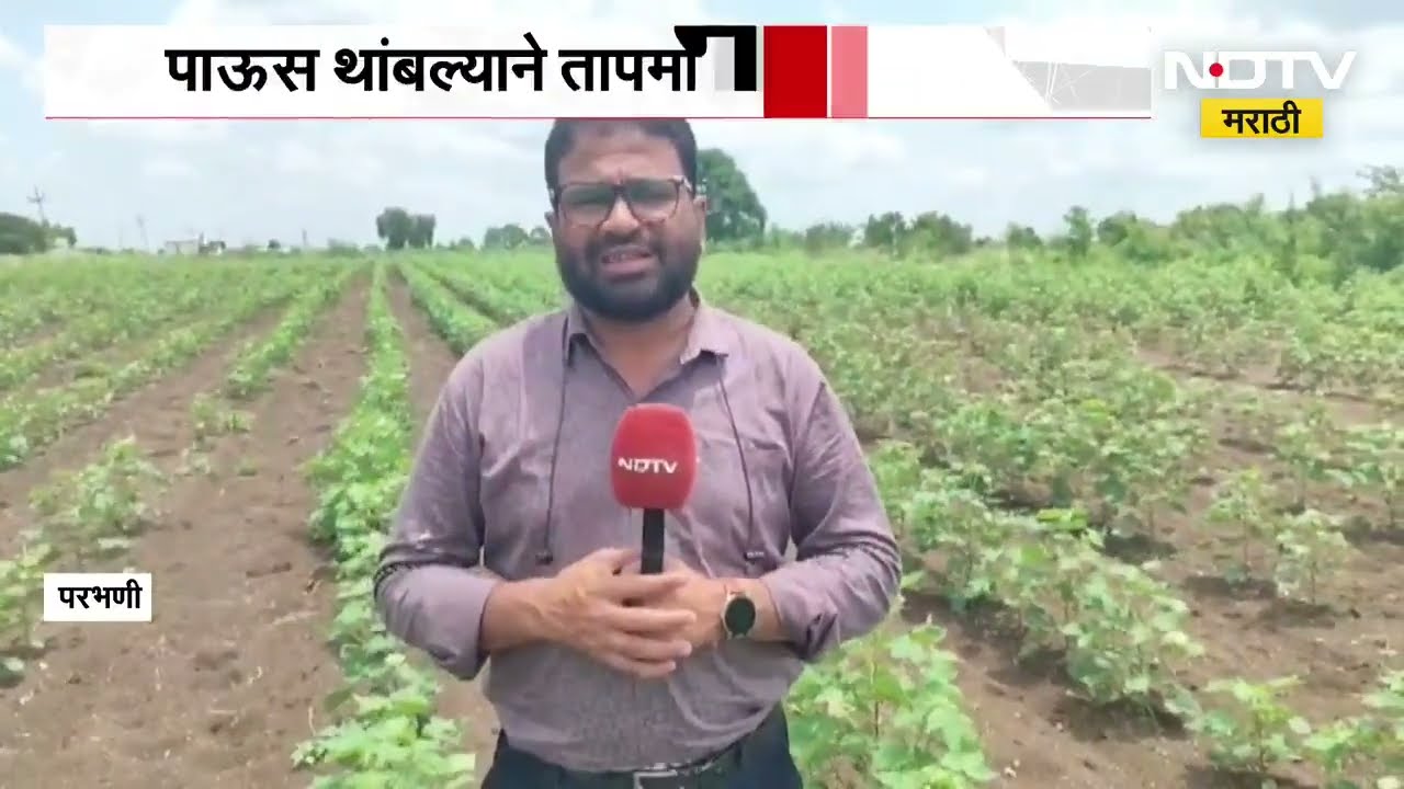 Parbhani Rain| दोन आठवड्यापासून पाऊस थांबल्याने तापमानात प्रचंड वाढ; यासंदर्भात घेतलेला आढावा