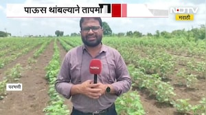 Parbhani Rain| दोन आठवड्यापासून पाऊस थांबल्याने तापमानात प्रचंड वाढ; यासंदर्भात घेतलेला आढावा