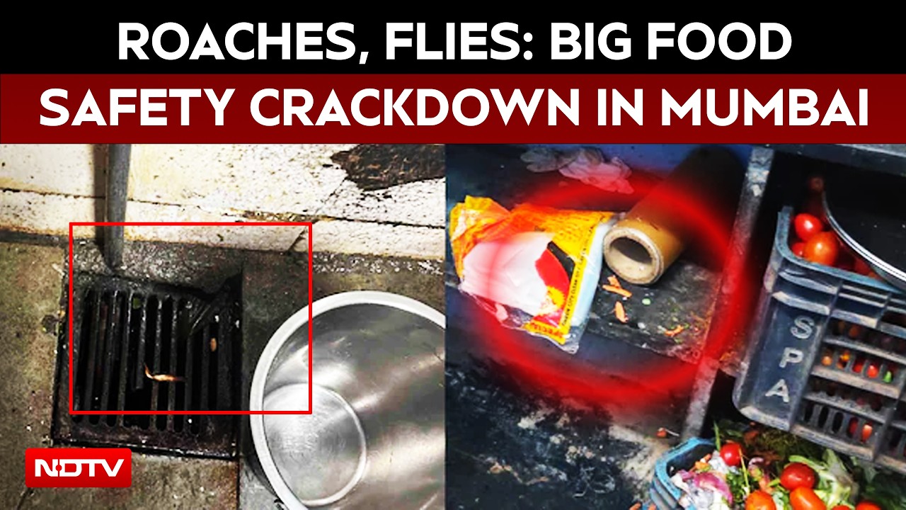 Mumbai News | Roach, Flies, Fakes: Action Against Mumbai McDonald's Outlet, Elite Clubs