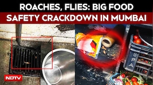 Mumbai News | Roach, Flies, Fakes: Action Against Mumbai McDonald's Outlet, Elite Clubs