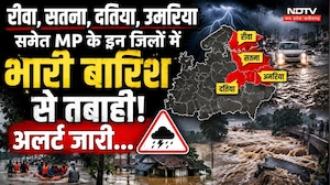 रीवा, सतना, दतिया, उमरिया  समेत MP के इन जिलों में भारी बारिश से तबाही!
