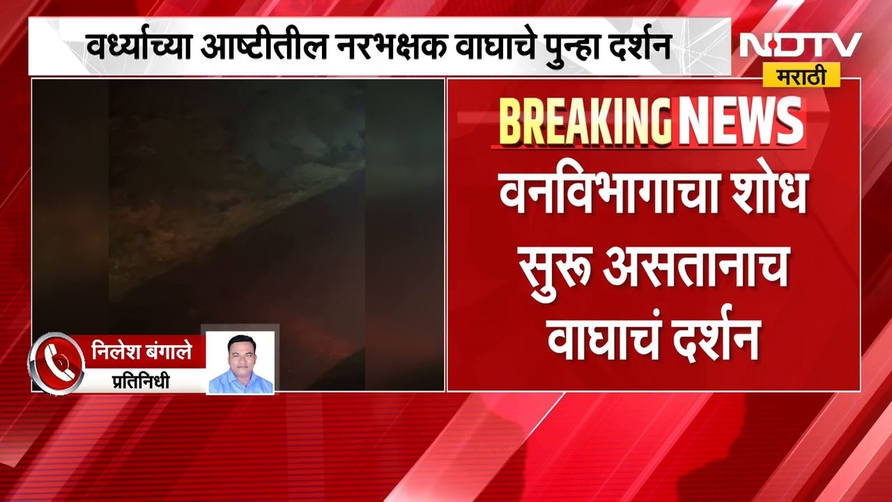 Wardha Tiger | वर्ध्याच्या आष्टीतील नरभक्षक वाघाचे पुन्हा दर्शन | NDTV Marathi