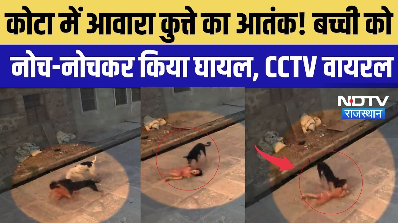 Kota Dog Attack: कोटा में आवारा कुत्ते का आतंक! बच्ची को नोच-नोचकर किया घायल, CCTV वायरल | Breaking