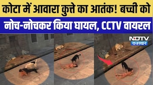 Kota Dog Attack: कोटा में आवारा कुत्ते का आतंक! बच्ची को नोच-नोचकर किया घायल, CCTV वायरल | Breaking