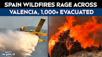 Spain Wildfires Rage Across Valencia, Over 1,000 Evacuated