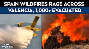 Spain Wildfires Rage Across Valencia, Over 1,000 Evacuated