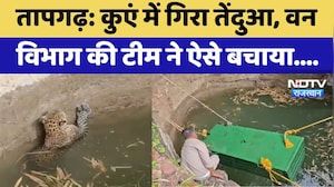 Pratapgarh: कुएं में गिरा तेंदुआ, Forest Department की टीम ने ऐसे बचाया