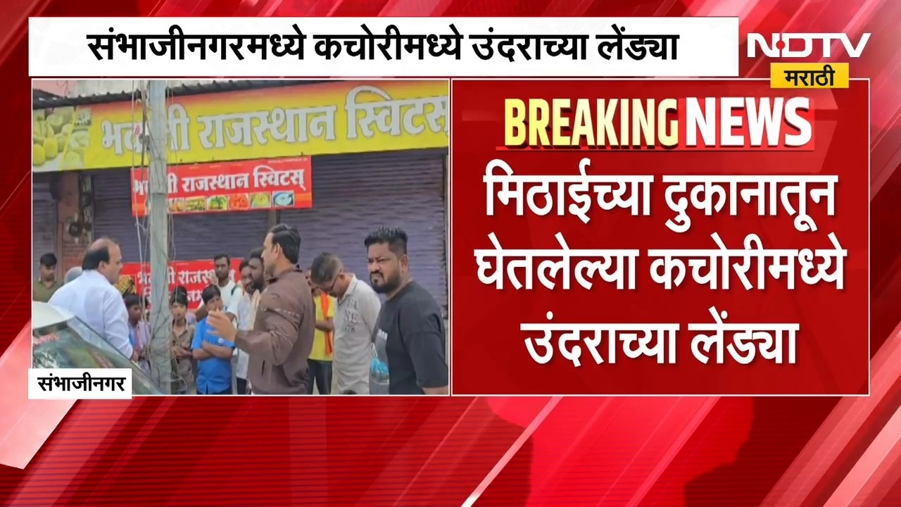 कचोरीमध्ये निघाल्या उंदराच्या लेंड्या...; Chh.Sambhajinagar मधीळ खळबळजनक प्रकार