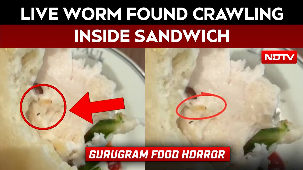 Live Worm Found Crawling Inside Sandwich At Posh Gurugram Eatery