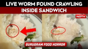 Live Worm Found Crawling Inside Sandwich At Posh Gurugram Eatery